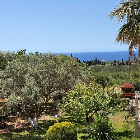 Lemon Tree Apartments A D Argostoli  Esterno foto