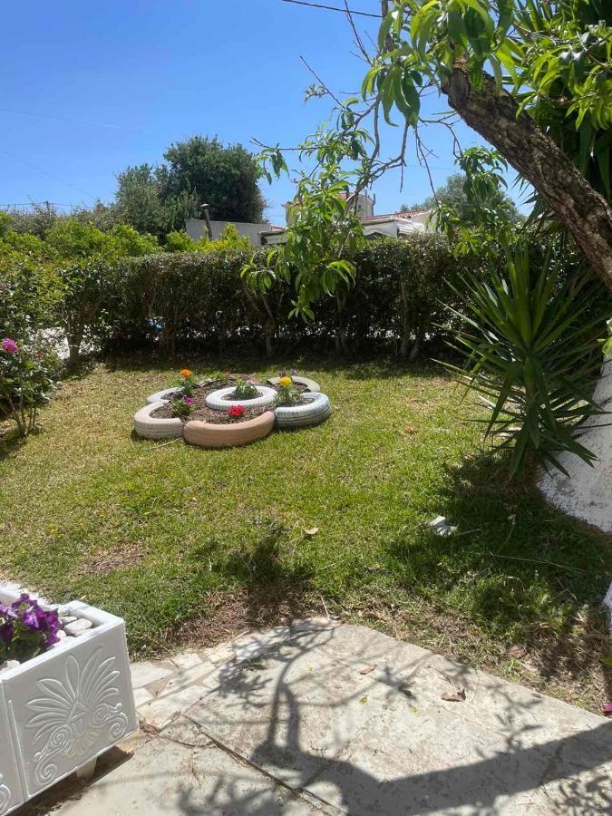 Lemon Tree Apartments A D Argostoli  Esterno foto